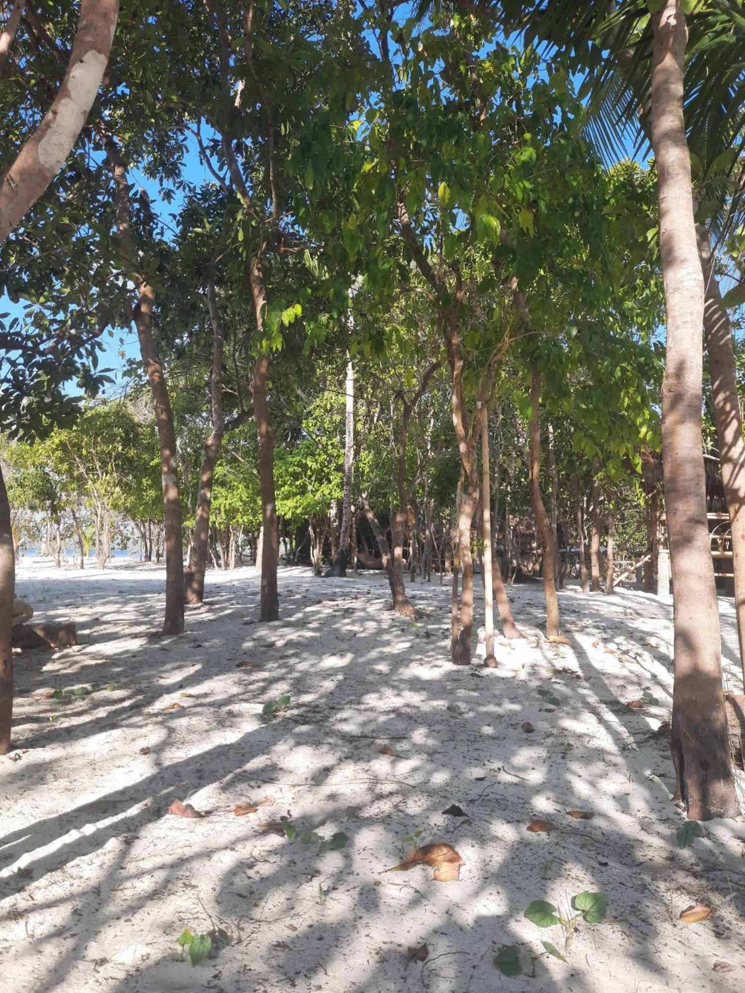 מלון אל נידו Dosplaya Ecocamp מראה חיצוני תמונה